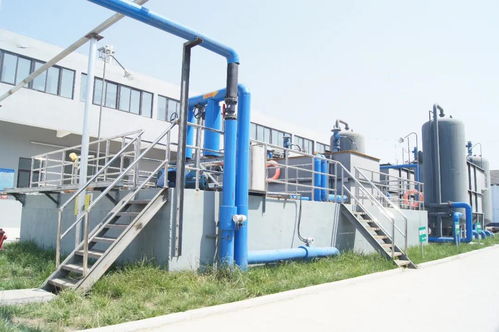 湯溝酒業(yè)榮膺“江蘇省綠色工廠”稱號，以綠色發(fā)展引領(lǐng)行業(yè)新風(fēng)尚